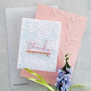 E3D-026_spellbinder_embossing_folder_1