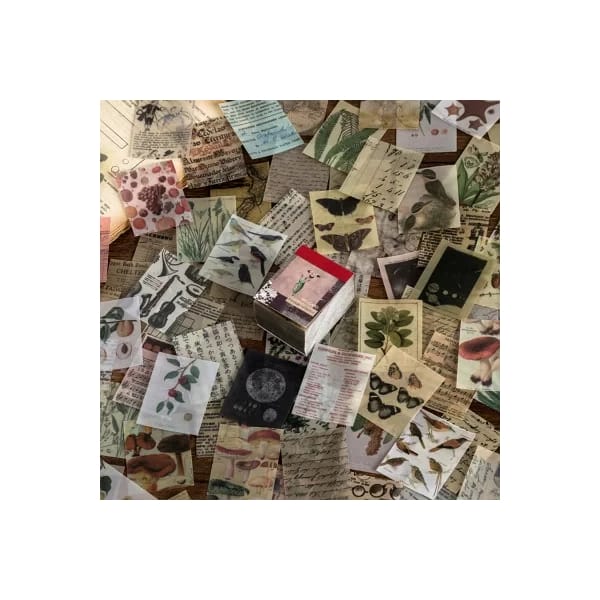 Journal Ephemera Pack (365 pcs) - Vintage Collection