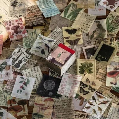 Journal Ephemera Pack (365 pcs) - Vintage Collection journalling ephemera stickers 365 MMK12D023 Journal Ephemera Pack (365 pcs) - Vintage Collection