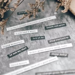 sentiment_Stickers_528pcs_201201_2