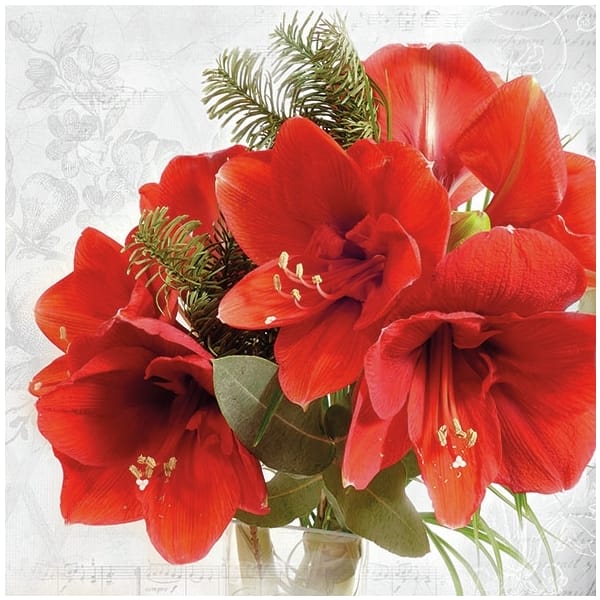 German Decoupage Napkins (5 pcs) - Amaryllis Flower