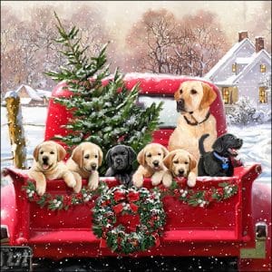 German Decoupage Napkins (5 pcs) - Family trip