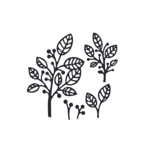 Steel Cutting Dies - Skeleton Leaves (Set of 5 dies)