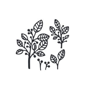 Steel Cutting Dies - Skeleton Leaves (Set of 5 dies)