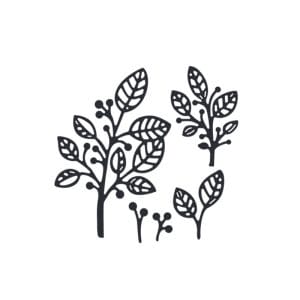 Steel Cutting Dies - Skeleton Leaves (Set of 5 dies)