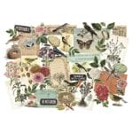 Tim Holtz Idealogy Ephemera Pack 45/Pkg - Layers Organic