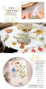 30pcs_a_piece_of_flower_clear_PET_Stickers_1