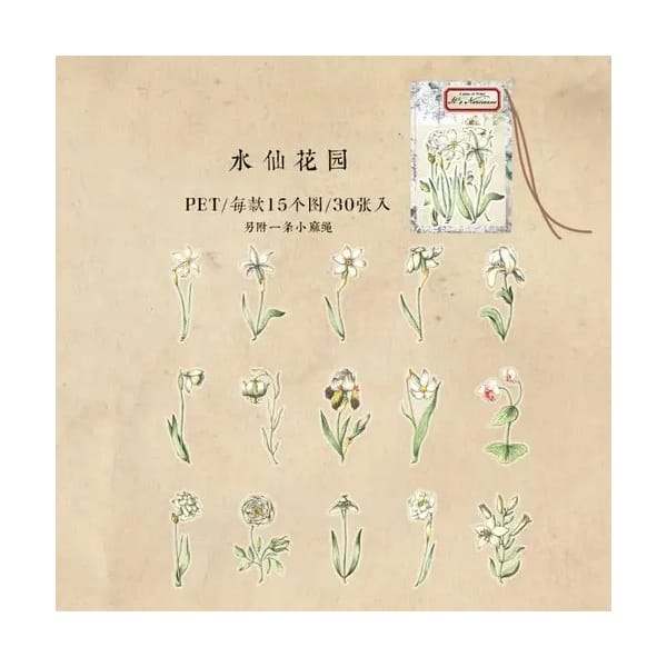 Clear PET Flowers Stickers (30 pcs) - Its Narcissus (Flowers)