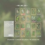 Clear PET Stamp shaped Stickers (40 pcs) - Leaves