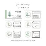 Plant and Flowers Record Ephemera Pack (50 pcs) - Green Leaves