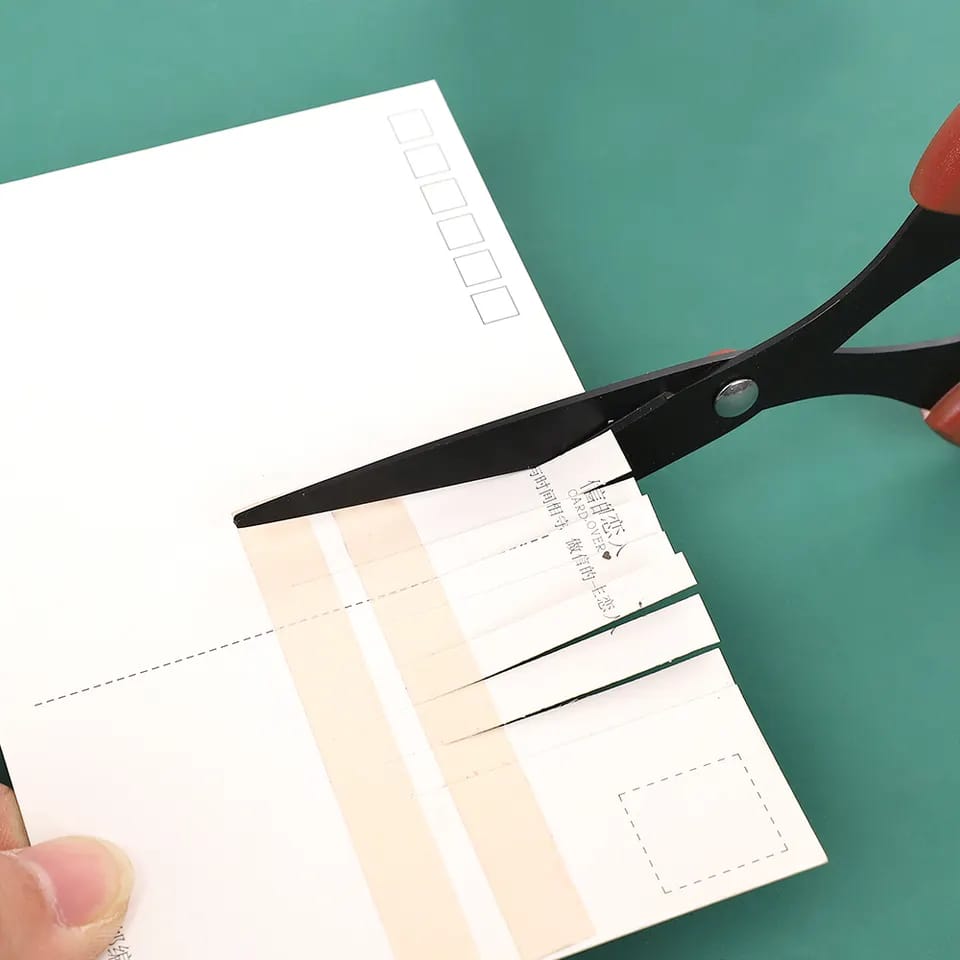 Non Stick Snip Scissors 6 inches cutting Scissor 2 cutting_Scissor_2