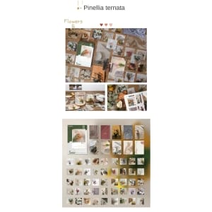 journalling_ephemera_stickers_55pcs_Flowers_of_Summer_1