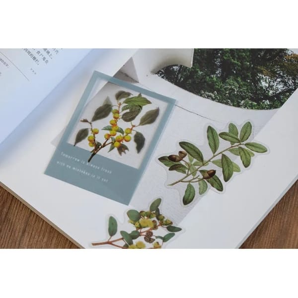 nature_plant_clear_PET_stickers_1