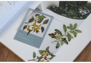 nature_plant_clear_PET_stickers_1