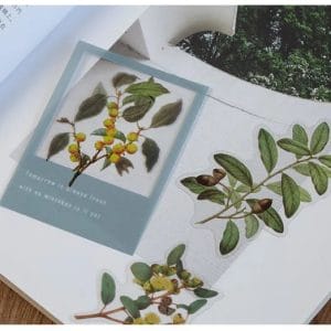 nature_plant_clear_PET_stickers_1