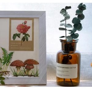 nature_plant_clear_PET_stickers_3
