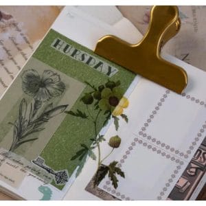 nature_plant_clear_PET_stickers_5