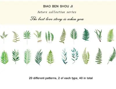 Clear PET Nature Stickers (40 pcs) - Fern Leaves