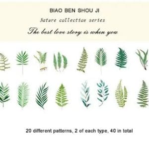 Clear PET Nature Stickers (40 pcs) - Fern Leaves