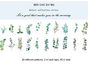 Clear PET Nature Stickers (40 pcs) - Eucalyptus Leaves