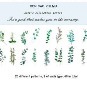 Clear PET Nature Stickers (40 pcs) - Eucalyptus Leaves
