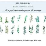 Clear PET Nature Stickers (40 pcs) - Eucalyptus Leaves