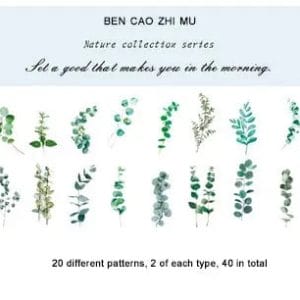 Clear PET Nature Stickers (40 pcs) - Eucalyptus Leaves