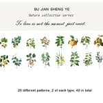 Clear PET Nature Stickers (40 pcs) - Mini Plant Trees