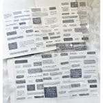 PET Clear Stickers (6 sheets) – Black White Diary (FGJSG)