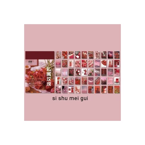 Photo Sticker Book for Journal Ephemeras (50 sheets) - Red tones (YXTZ0369)