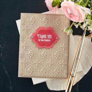 E3D-049_spellbinder_embossing_folder_1