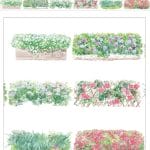 Clear PET Sticker Rolls - Floral Garden (PCT-023)