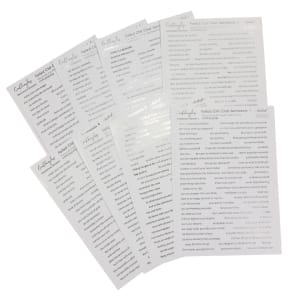 CrafTangles Precut Gold and Silver Journal Stickers - Foiled ChitChat Sentiments Combo 544 stickers