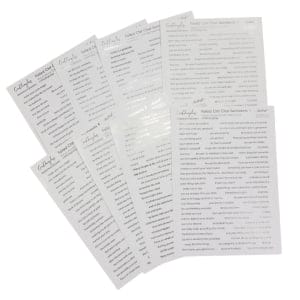 CrafTangles Precut Gold and Silver Journal Stickers - Foiled ChitChat Sentiments Combo 544 stickers