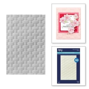 Spellbinders 3D Embossing Folder 5.5"X8.5" - Woven, Spring Sampler