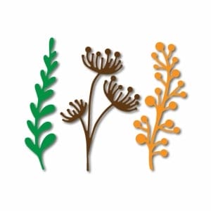 Steel Cutting Dies - Leaves (Set of 3 dies) (LC3792)