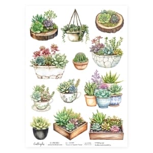 CrafTangles Decoupage Napkin / Tissue / Collage Paper - Floral Succulents 2
