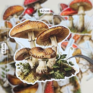 craftangles ephemeras mushrooms die cuts