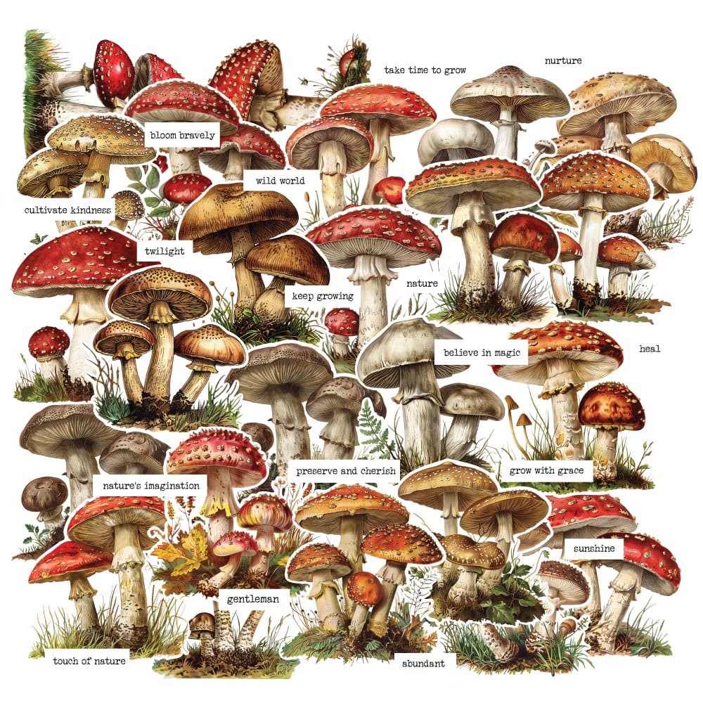 CrafTangles DieCuts / Ephemera Pack - Vintage Mushrooms 1 (40 pcs) CrafTangles Die cuts ephemera Vintage Mushrooms CTDCP 10 CrafTangles DieCuts / Ephemera Pack - Vintage Mushrooms 1 (40 pcs)