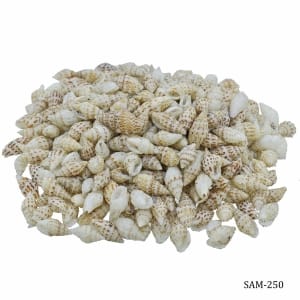 SAM 250 craft shells