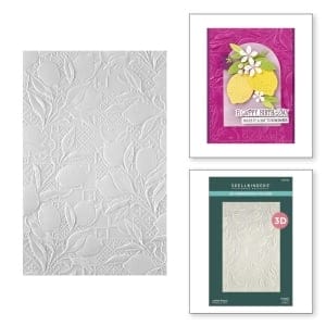 Spellbinders 3D Embossing Folder 5.5"X8.5" - La Dolce Vita Lemon Fresco