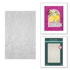 Spellbinders 3D Embossing Folder 5.5"X8.5" - La Dolce Vita Lemon Fresco
