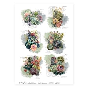 CrafTangles Decoupage Napkin / Tissue / Collage Paper - Floral Succulents 3