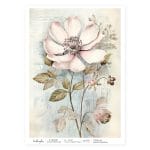 CrafTangles Decoupage Napkin / Tissue / Collage Paper - Vintage Flowers 24