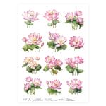 CrafTangles Decoupage Napkin / Tissue / Collage Paper - Lotus Flowers 2