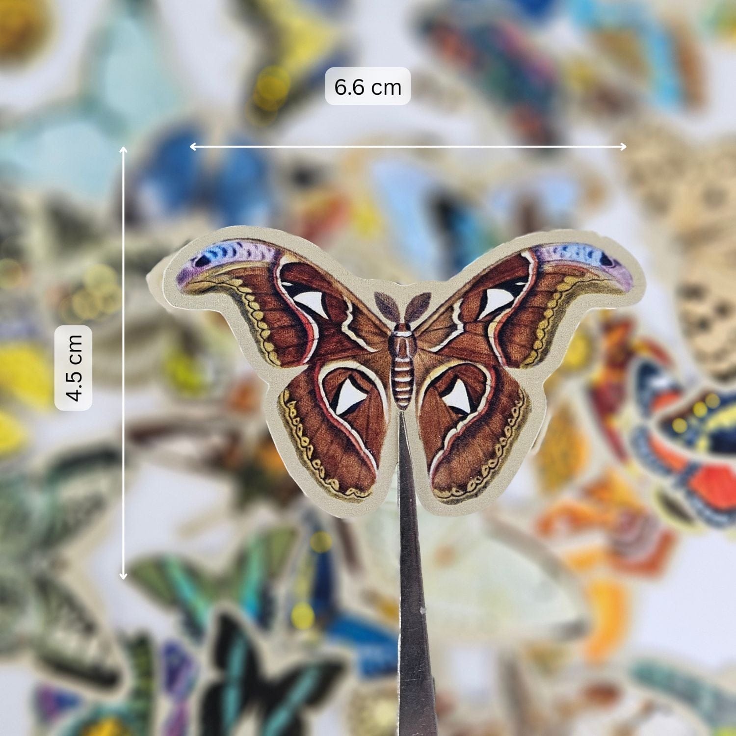 CrafTangles DieCuts / Ephemera Pack - Vintage Butterflies 1 - Image 2