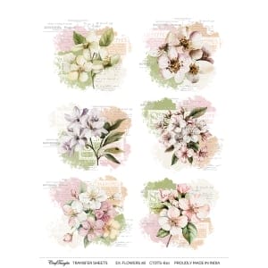 CrafTangles A4 Transfer It Sheets - Exotic Flowers 26